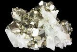 Gleaming Pyrite Crystal Cluster with Quartz - Peru #72589-2